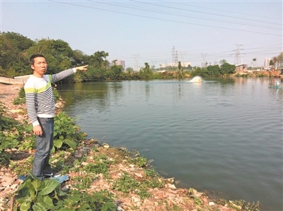 完善廣佛跨界區(qū)域水污染治理 獅山以環(huán)保技術(shù)服務(wù)驅(qū)動產(chǎn)業(yè)轉(zhuǎn)型 關(guān)閉養(yǎng)殖場121戶